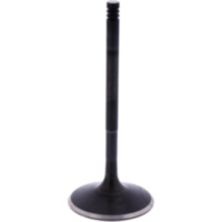 Einlassventil Originalersatzteil 1009416