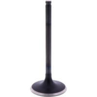 Einlassventil Originalersatzteil 1009536