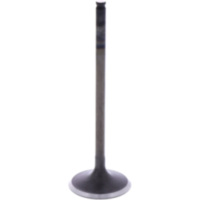 Einlassventil Originalersatzteil 1009587