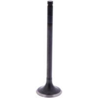 Einlassventil Originalersatzteil 1009593