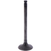 Einlassventil Originalersatzteil 1009770