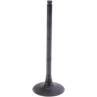 Einlassventil Originalersatzteil 1009774