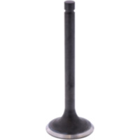 Auslassventil Originalersatzteil 1009799