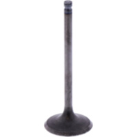 Einlassventil Originalersatzteil 1013091