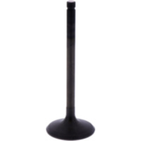 Einlassventil Originalersatzteil 1013178