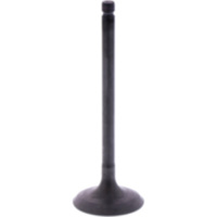 Einlassventil Originalersatzteil 1013192