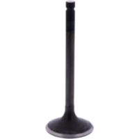 Einlassventil Originalersatzteil 1013206