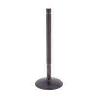 Einlassventil Originalersatzteil 1013229