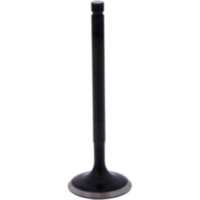 Einlassventil Originalersatzteil 1013231