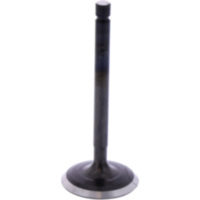 Einlassventil Originalersatzteil 1013234