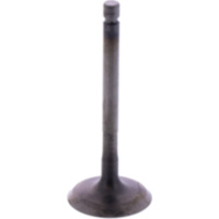 Einlassventil Originalersatzteil 1105159