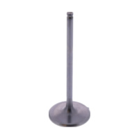 Einlassventil titan Prox