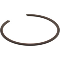 Telegabel Gabel Sicherungsring f&uuml;r: BMW Originalersatzteil 31 42 1 458 067