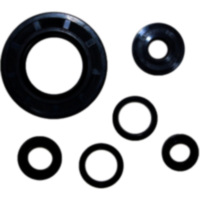 Simmering Wellendichtring Satz Athena P400250400043