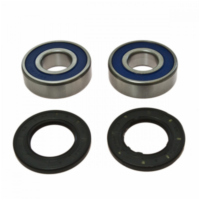 Radlager Satz All Balls 251553