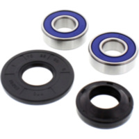 Radlager Satz komplett All Balls 251421