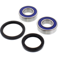 Radlager Satz komplett All Balls 251427