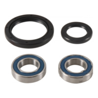 Radlager Satz komplett All Balls Racing 251753