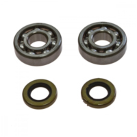 Kurbelwellenlager Satz 241102