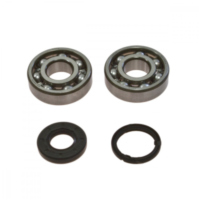 Kurbelwellenlager Satz All Balls 241108