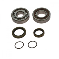 Kurbelwellenlager Satz All Balls 241097