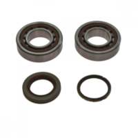 Kurbelwellenlager Satz All Balls 241105