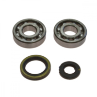 Kurbelwellenlager Satz All Balls 241019