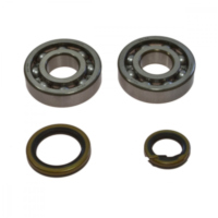 Kurbelwellenlager Satz All Balls 241021