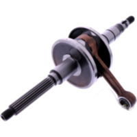 Kurbelwelle Standard 100010011