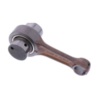 Pleuel Satz Prox 032420