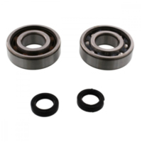 Kurbelwellenlager Satz Athena P400420444003