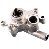 Wasserpumpe komplett f&uuml;r: Yamaha Originalersatzteil 1C0-E2420-01