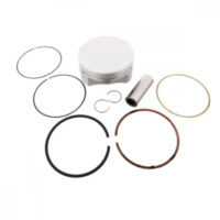 Kolbensatz 101.00 mm Prox