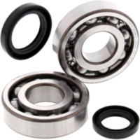 Kurbelwellenlager Satz All Balls Racing