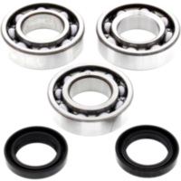 Kurbelwellenlager Satz All Balls Racing 241084