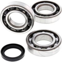 Kurbelwellenlager Satz All Balls Racing 241090