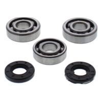 Kurbelwellenlager Satz All Balls Racing 241117