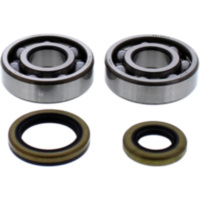 Kurbelwellenlager Satz All Balls Racing 241119