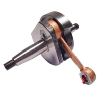 Kurbelwelle Standard 100010240