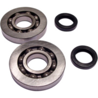 Kurbelwellenlager Satz 100200712