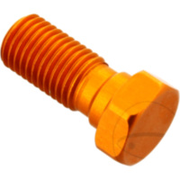 Hohlschraube einfach M10 x 1.25 25402014