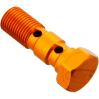 Hohlschraube doppelt M10 x 1.00 26501014