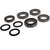 Differential Reparatursatz All Balls 252077