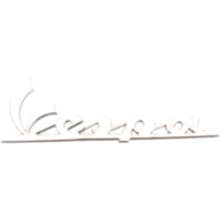 Dekor silber f&uuml;r: Vespa Originalersatzteil 656220