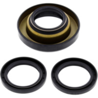 Differential Reparatursatz hinten All Balls Racing 2520135