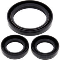 Differential Reparatursatz vorne All Balls Racing 2520445