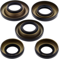 Differential Reparatursatz hinten All Balls Racing 2520475