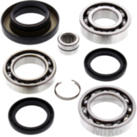 Differential Reparatursatz hinten All Balls Racing 252061