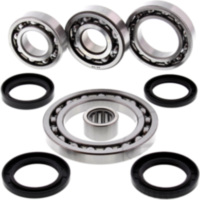 Differential Reparatursatz hinten All Balls Racing 252064