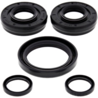 Differential Reparatursatz vorne All Balls Racing 2520715